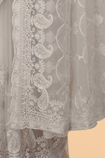 Soft Net Grey Color Ethnic Motif Net Embroidery Party wear C-Pallu Saree