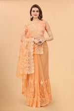 Orange Soft Net Light Color Ethnic Motif Net Embroidery Party wear C-Pallu Saree