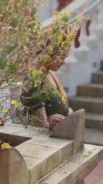 Elegant Green Banarasi Soft Silk Saree with Golden Zari Weaving Saree