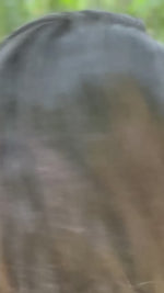 Enchanting Rani Pink And Pastel Banarasi Silk Saree A Statement of Elegance